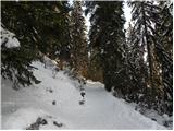 Planina Zajavornik - Blejska koča na Lipanci